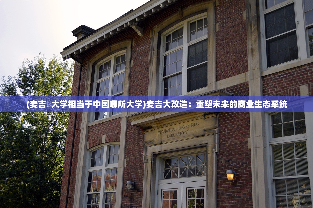 (麦吉尓大学相当于中国哪所大学)麦吉大改造：重塑未来的商业生态系统