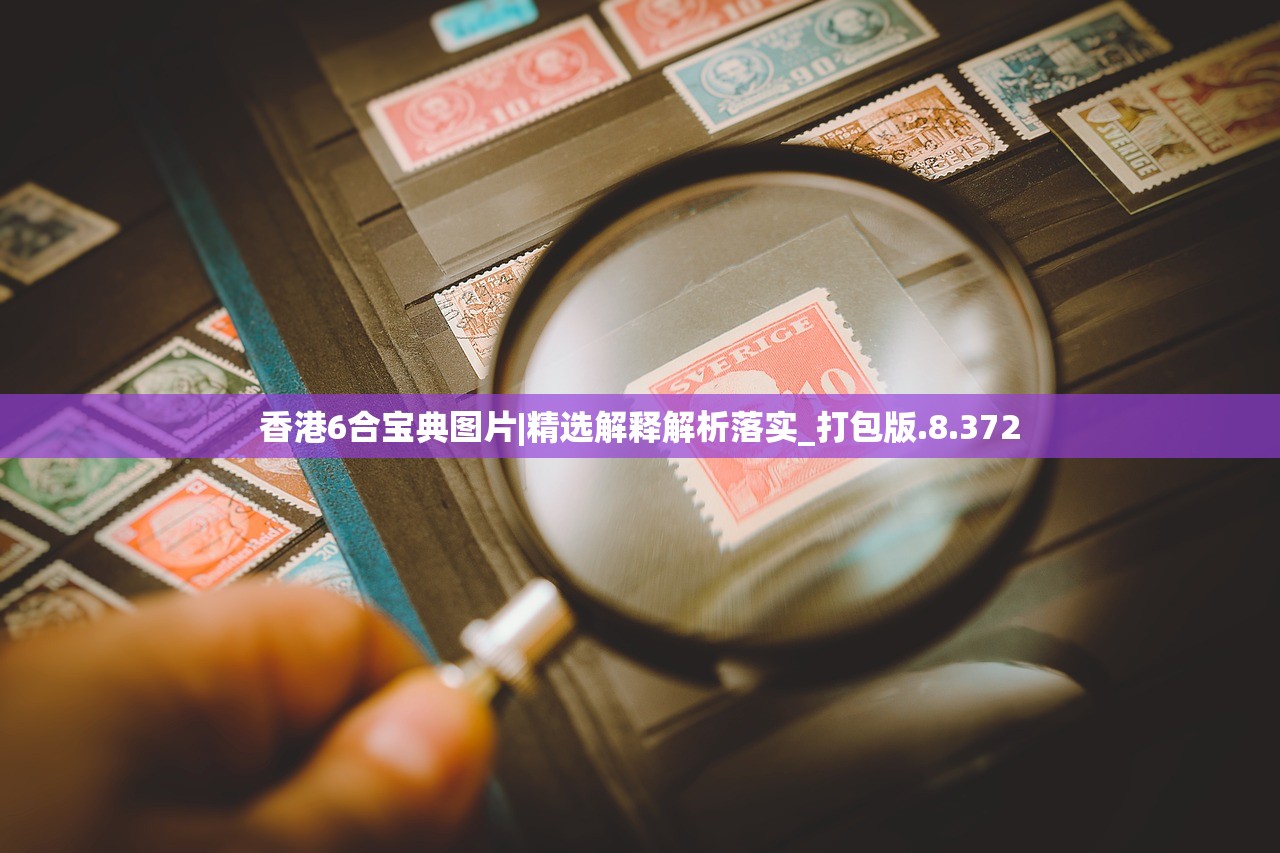 香港6合宝典图片|精选解释解析落实_打包版.8.372